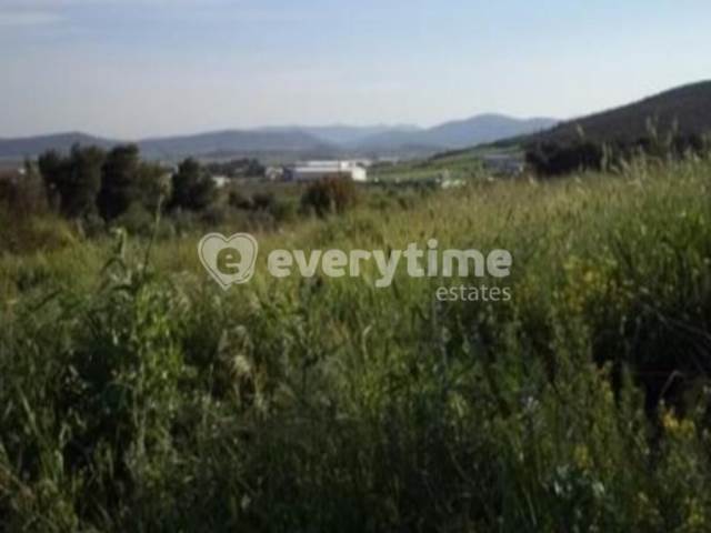 (For Sale) Land Agricultural Land  || Evoia/Avlida - 12.609 Sq.m, 140.000€ 
