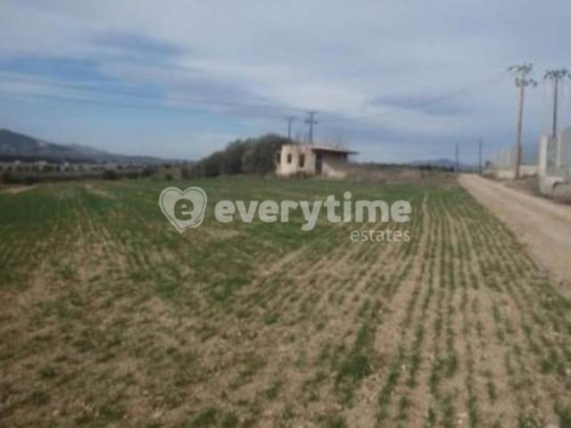 (For Sale) Land Agricultural Land  || Voiotia/Sximatari - 9.074 Sq.m, 130.000€ 
